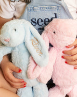 Blue Personalised Plush Bunny