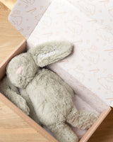 Sage Personalised Plush Bunny